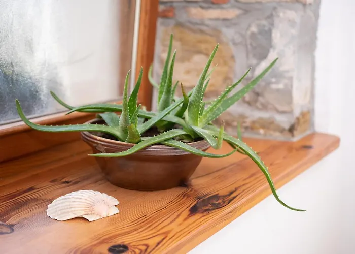 Appartamento Studio May Pirano