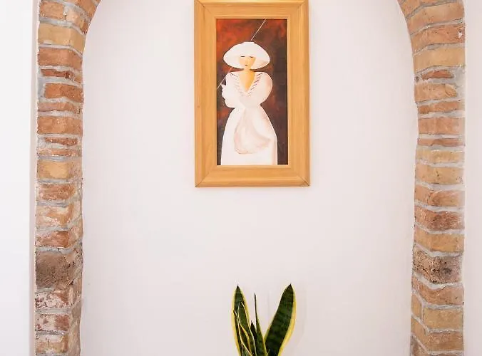 Studio May פיראן